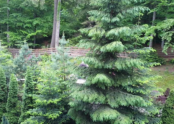 Green View Sinaia