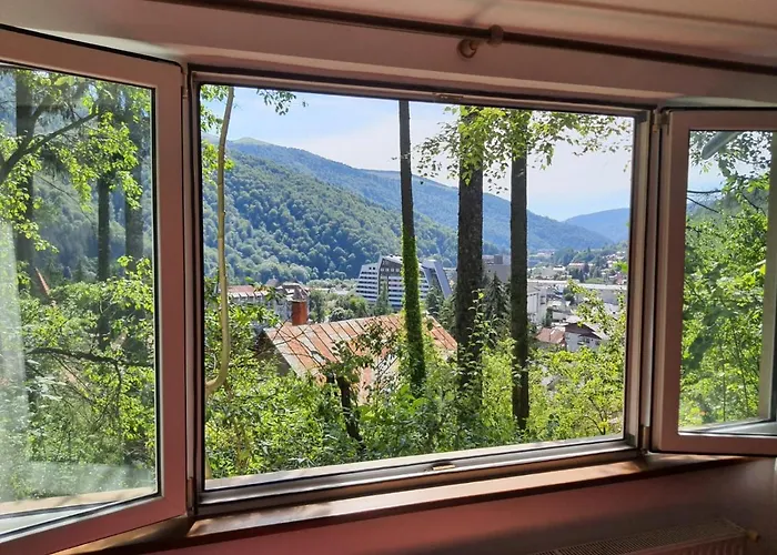 Tudor View Apartament Sinaia