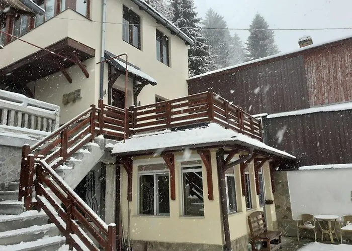 Old Bakery House Apartment Sinaia
