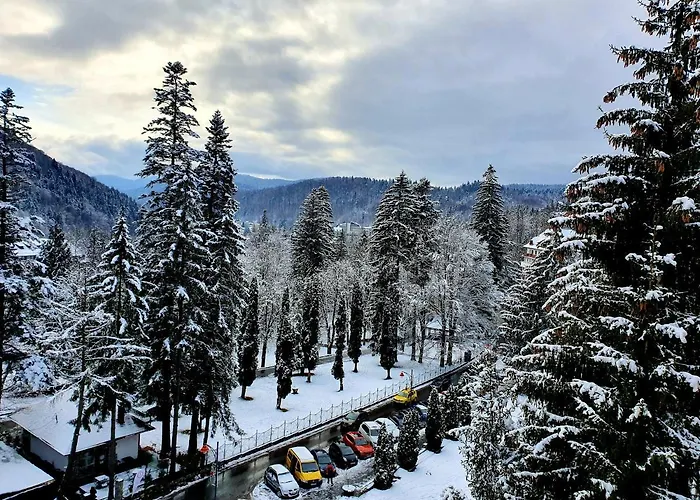 Laura Apartments Sinaia