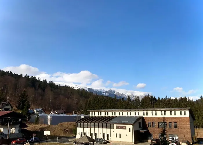 Snowdrop Apartment Sinaia