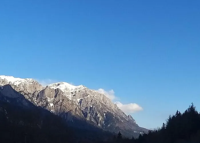 Apartament Greenstar Sinaia