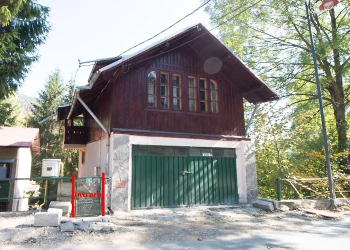 Rustic Regal Apartment Sinaia