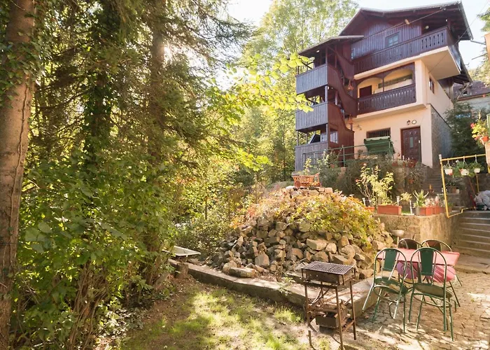 Rustic Regal Apartment Sinaia