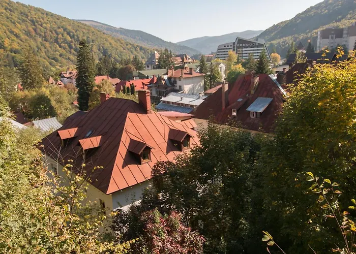 Rustic Regal Apartment Sinaia
