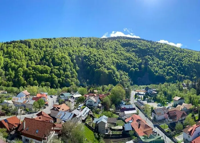 Viewapart Sinaia