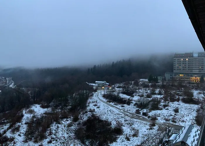 Perfect View Apartment Sinaia