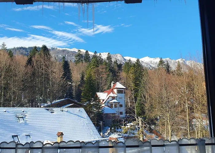 Relaxing Balcony Apartment Sinaia