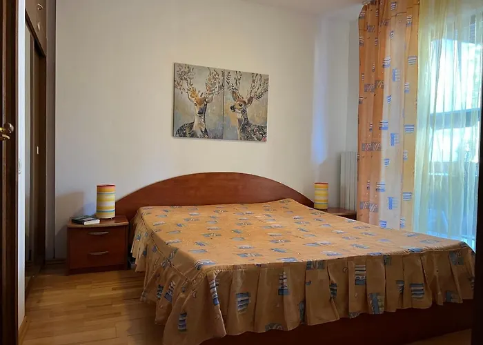 Muller Apartment Sinaia