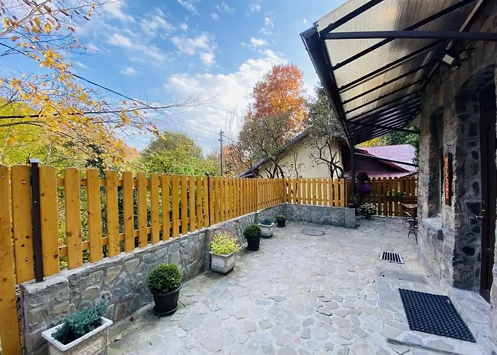Apartment Carol Private Yard With Barbeque And Parking Sinaia