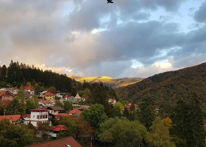 Aosta Valley View Sinaia