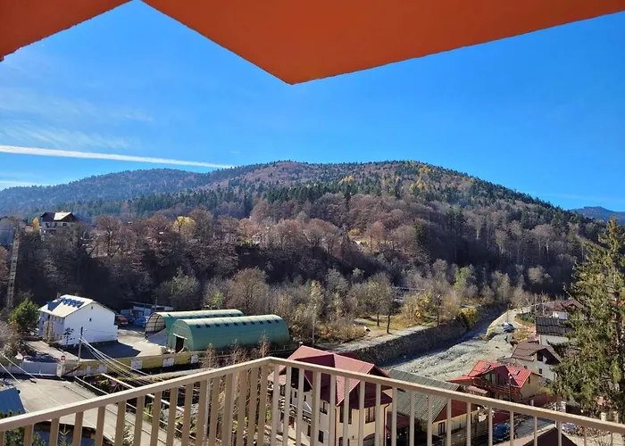 Sinaia Belleview Apartment