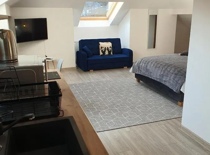 Family Studio Sinaia