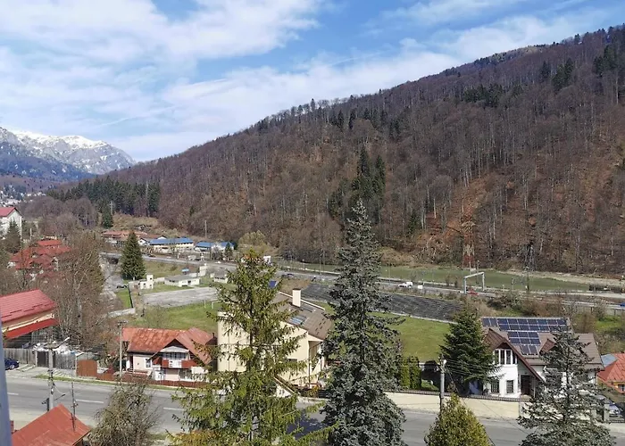 Apartament Panoramic View Sinaia
