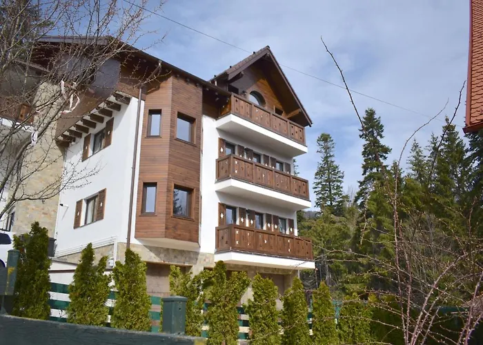 Cosy & Minimalistic Apartments Sinaia - Mountain View & Parking