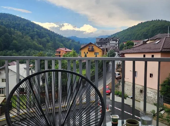 Large Studio - Balcony - Spa And Gym In Building - Free Parking Sinaia