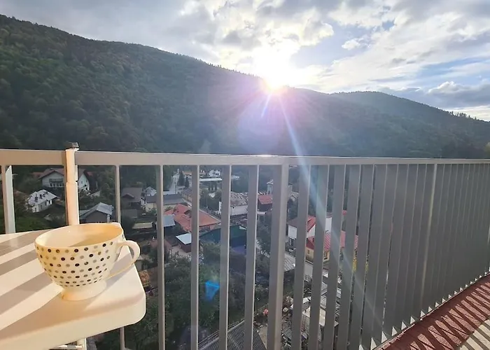 Apartament Vis De Sinaia !