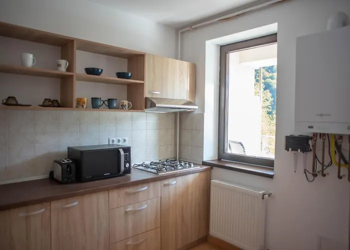 Blue Forest Studio Sinaia
