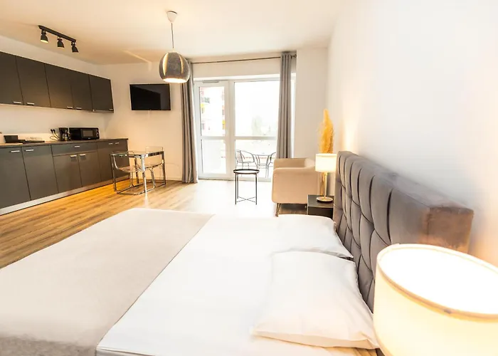 Walter Studio Sinaia With Balcony And Private Parking