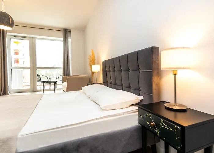Walter Studio Sinaia With Balcony And Private Parking