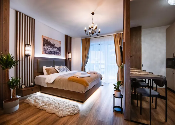 Elma Studio Sinaia - Spa Si Piscina Contra Cost