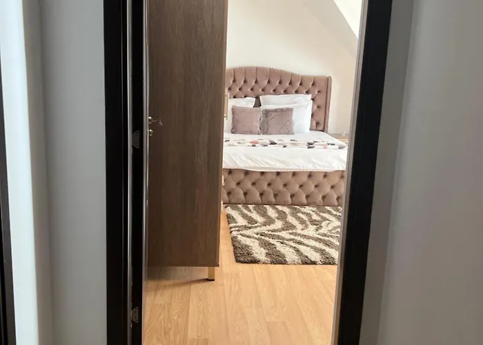 Central Studio 28 Sinaia