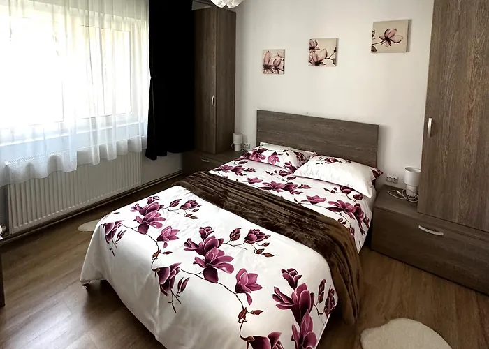 Iali Apartment Sinaia