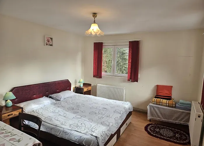 Apartament Retro-Relax Sinaia