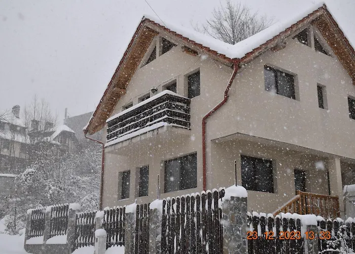 Capra cu trei iezi Apartment Sinaia
