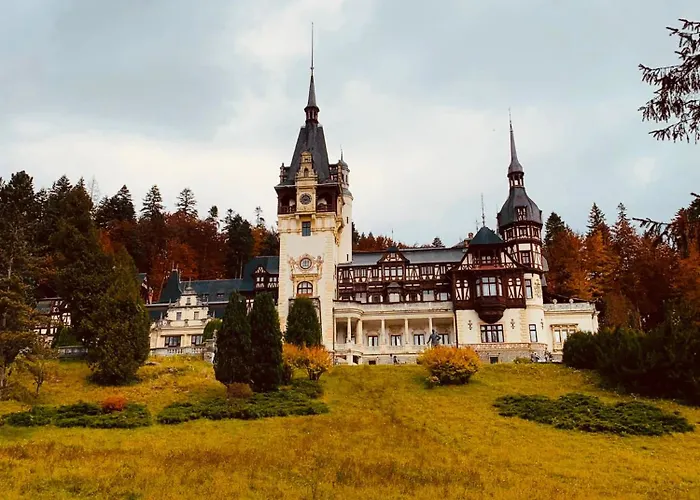 Wood Studio Sinaia