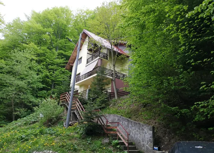 Casa Din Padure Apartment Sinaia