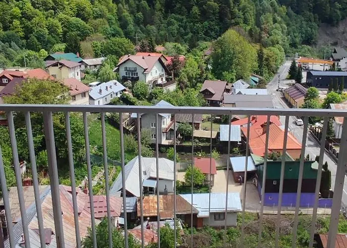 Studio Jacuzzi Belle View Sinaia-Free Parking