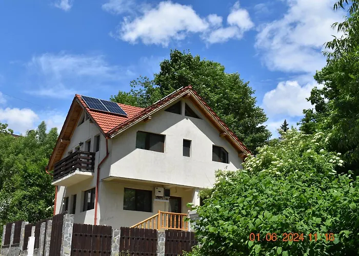 Capra cu trei iezi Apartment Sinaia