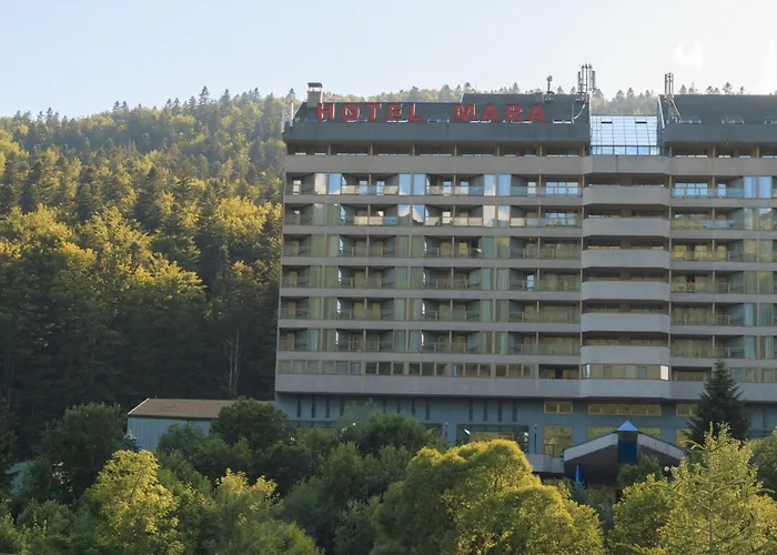 Panoramic Forest View Sinaia - Balcony And Private Parking