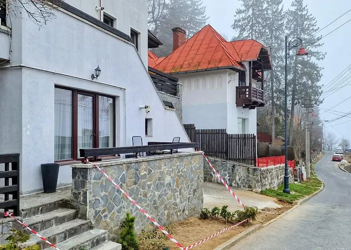 Snowflake Condo Sinaia