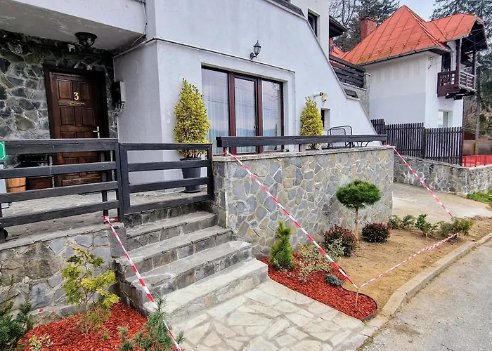 Snowflake Condo Sinaia