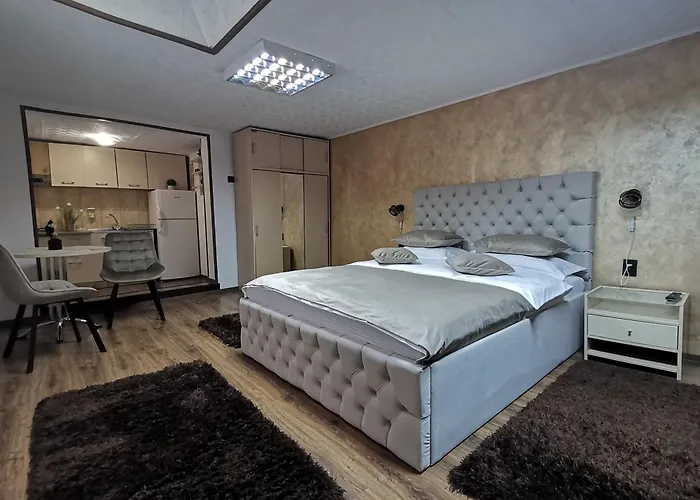 Shelby Accommodation -Adult Only- Sinaia