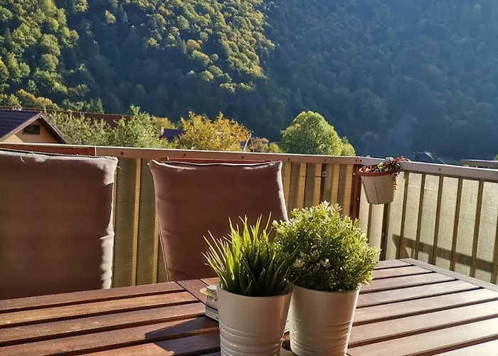 Miro Apartament Sinaia