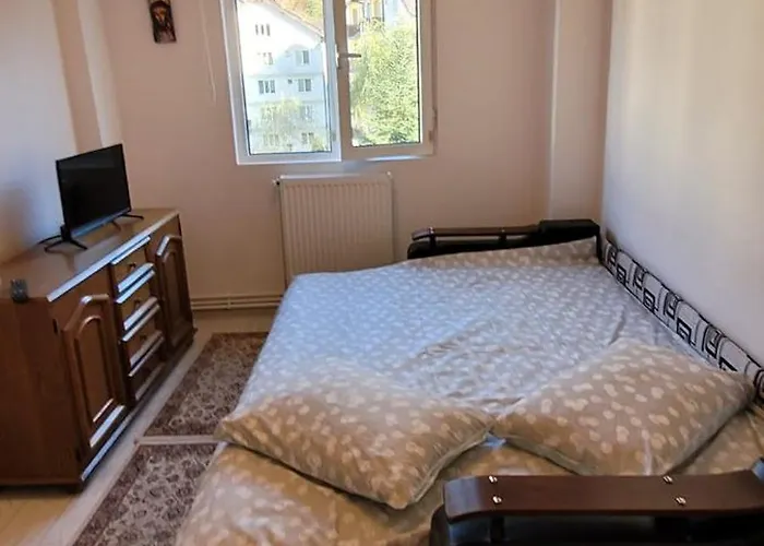 Patricia Apartment Sinaia