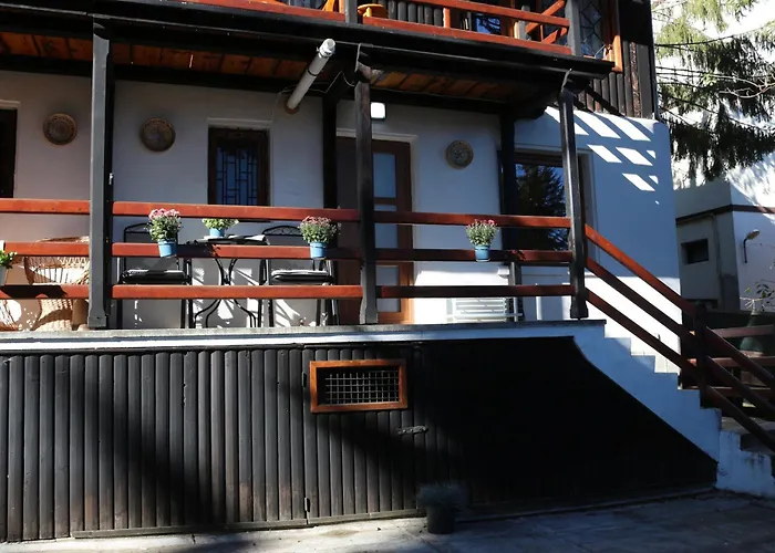 Sporty Mountain Escape Sinaia Apartment