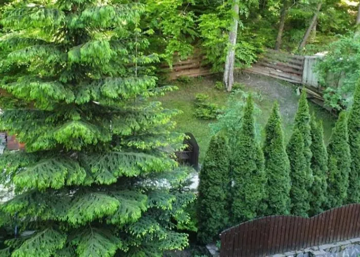 Maria Apartament Sinaia