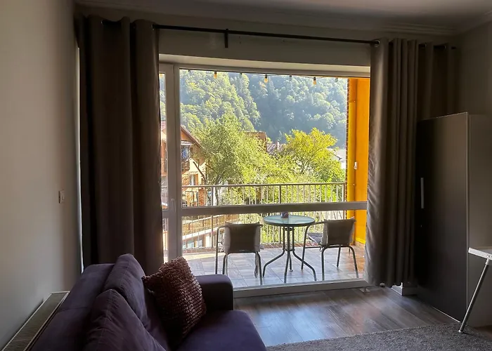 Sara Apart Belleview Sinaia