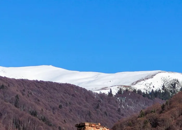Moonlight-House Dark Side Apartment Sinaia