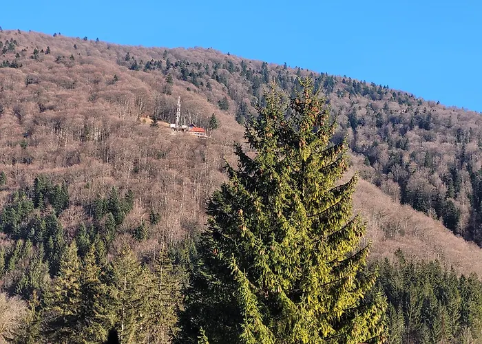 Moonlight-House Dark Side Apartment Sinaia