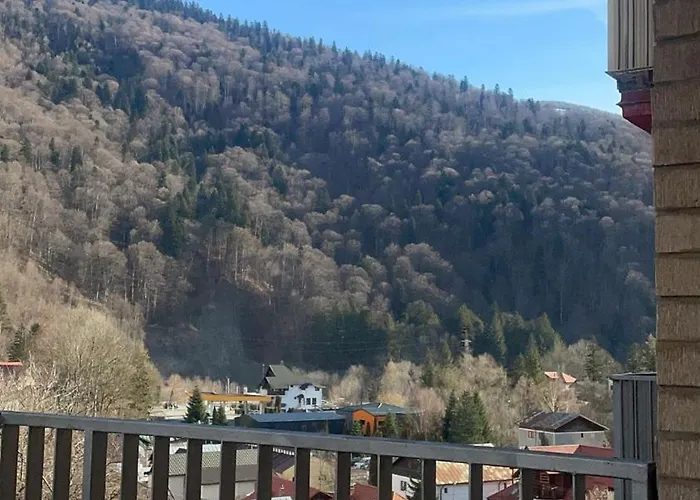 Splendid View Sinaia Apartment