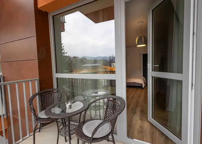 Walter Studio Sinaia With Balcony And Private Parking