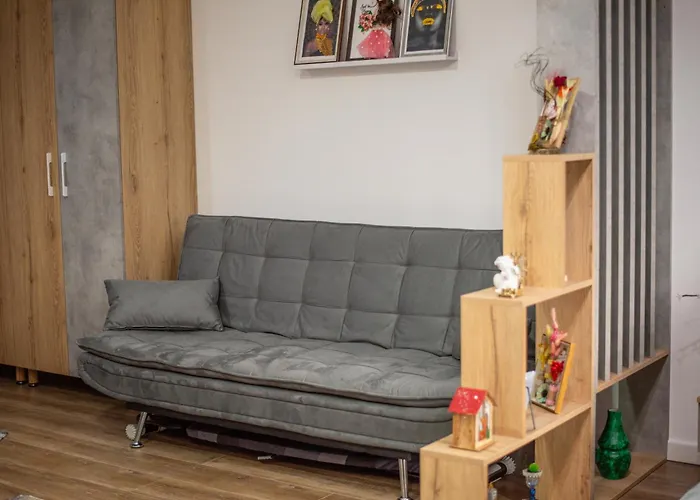 The Mountain Nest Apartment Sinaia