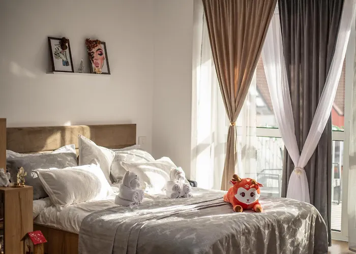 The Mountain Nest Apartment Sinaia