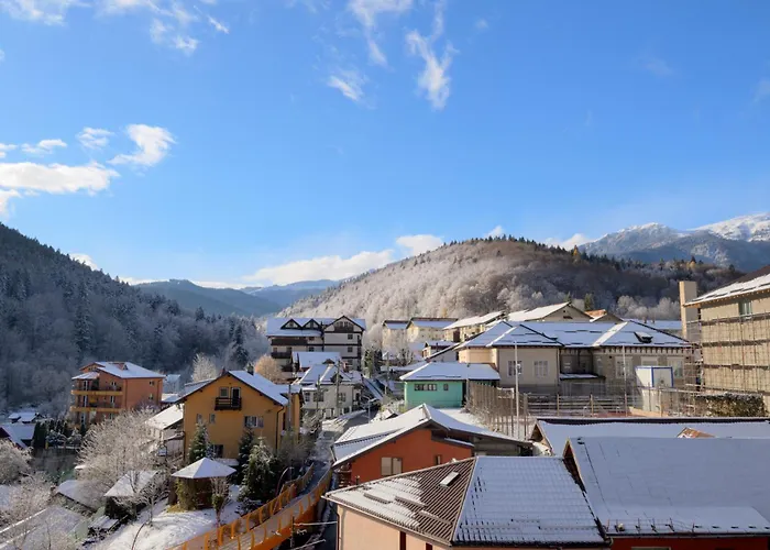 Mountain Bliss Apartment Sinaia