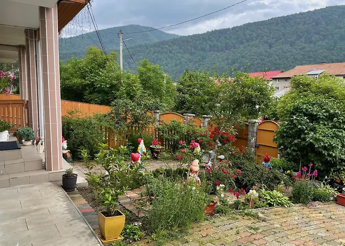 Apartment With Private Garden And Barbecue Sinaia